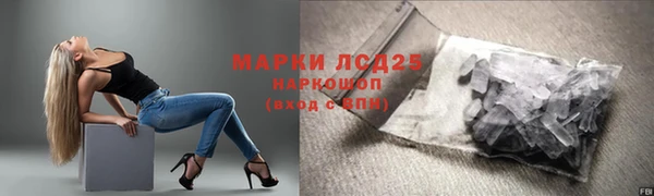 стафф Михайлов