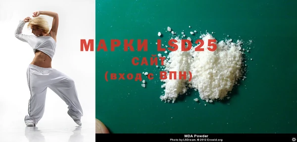 шишки Заволжье