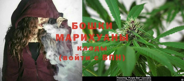 ешки Тутаев